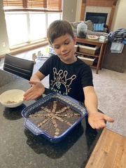 Chocolate Chips in Brownies1
